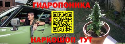 PSILOCYBIN Брянск