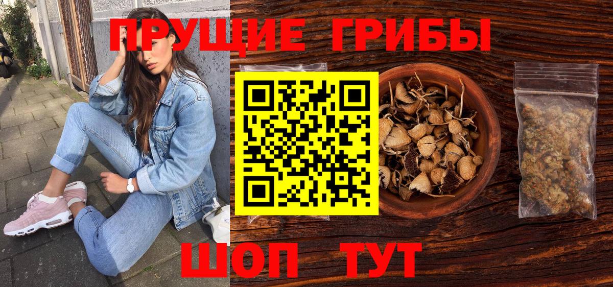 Галлюциногенные грибы Cubensis  Вход с VPN  Псилоцибиновые грибы Psilocybe  Пугачёв 